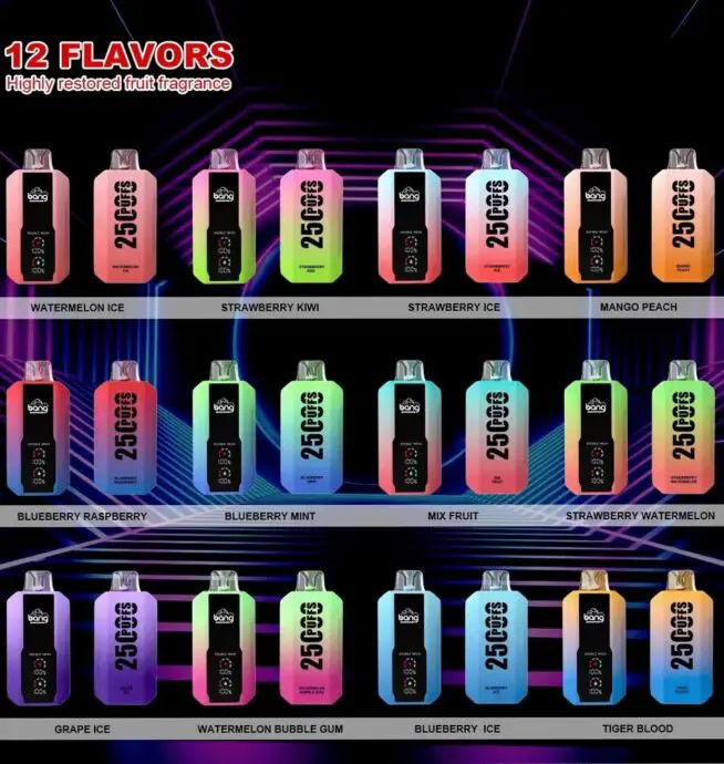 Kit jetable rechargeable Bang 25000 Puffs (affichage LED)