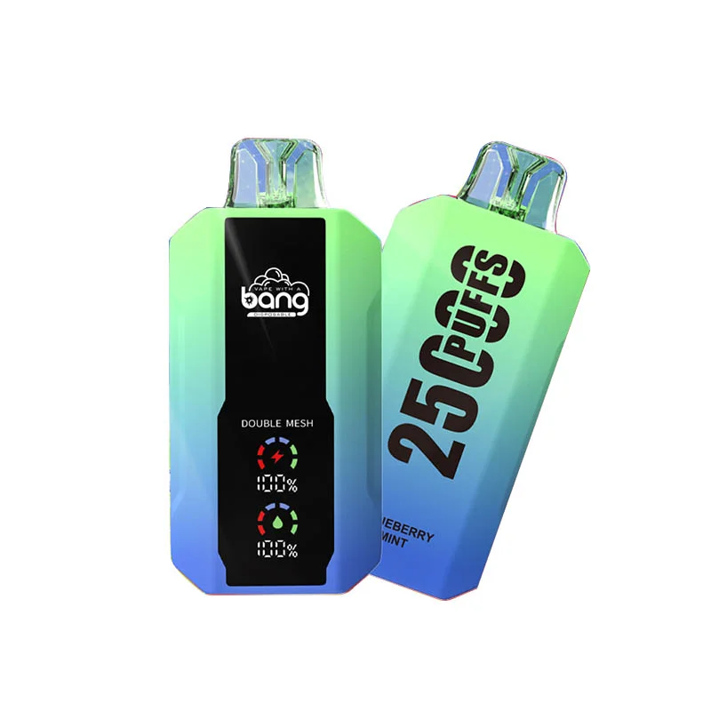 Kit jetable rechargeable Bang 25000 Puffs (affichage LED)