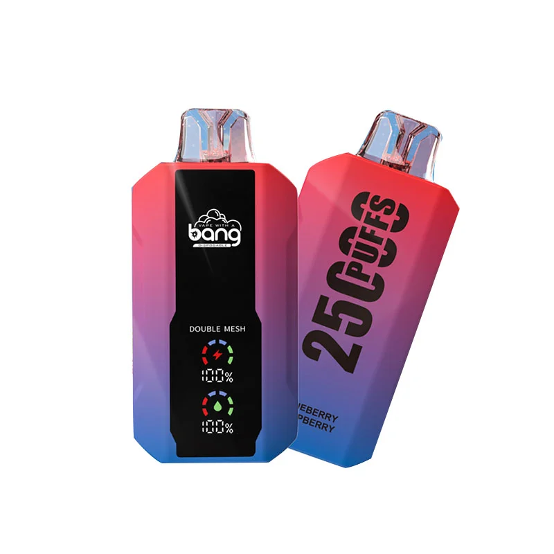 Kit jetable rechargeable Bang 25000 Puffs (affichage LED)