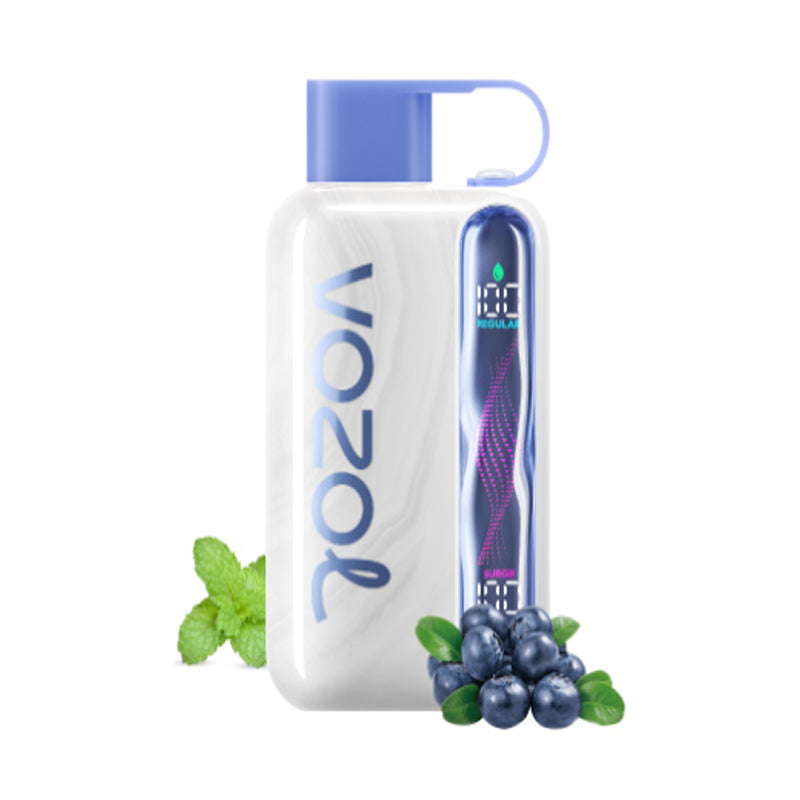 Kit jetable rechargeable Vozol Star 40000 Puffs 20ml (40K Puffs)