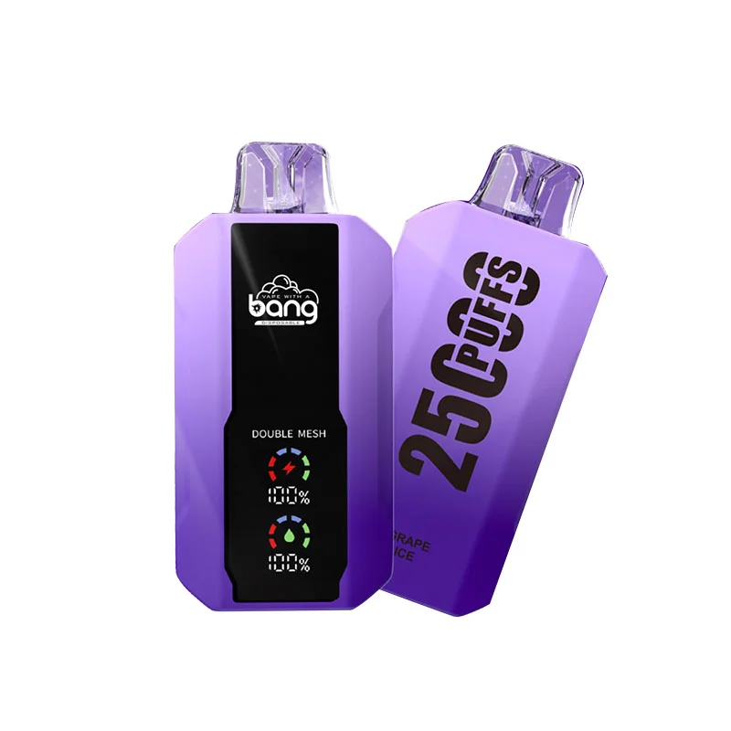 Kit jetable rechargeable Bang 25000 Puffs (affichage LED)