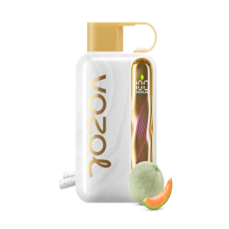 Kit jetable rechargeable Vozol Star 40000 Puffs 20ml (40K Puffs)