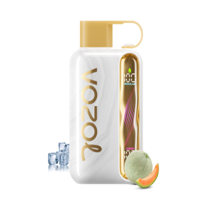 Kit jetable rechargeable Vozol Star 40000 Puffs 20ml (40K Puffs)