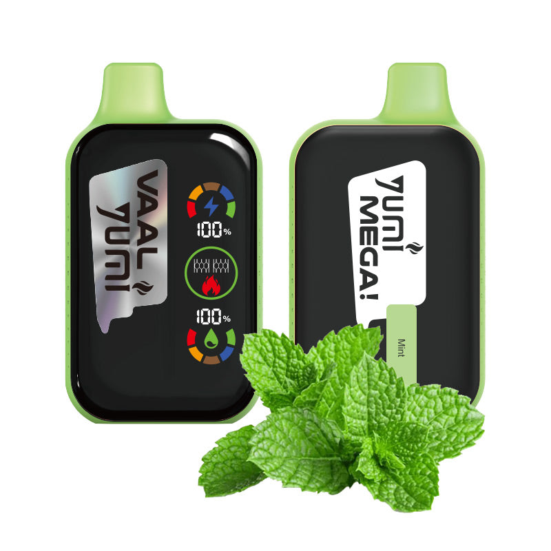 Kit jetable rechargeable YUMI & VAAL Mega 20000 Puffs 650mAh