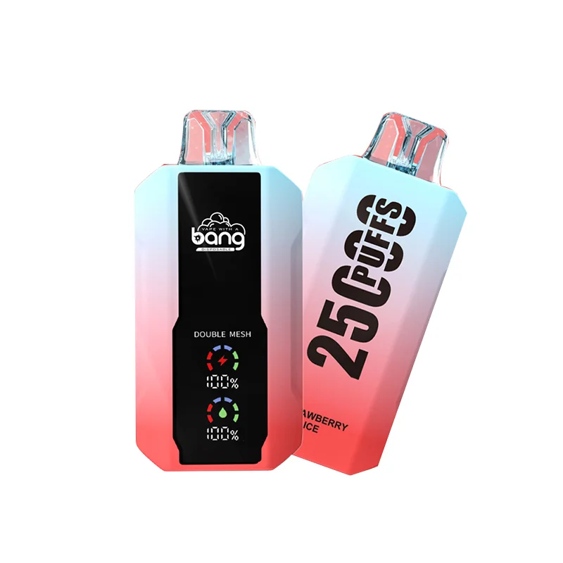 Kit jetable rechargeable Bang 25000 Puffs (affichage LED)