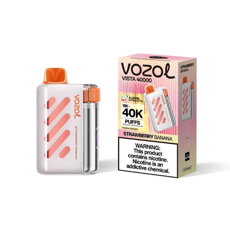 Kit jetable rechargeable VOZOL Vista 40000 Puffs 20ml (40K Puffs)