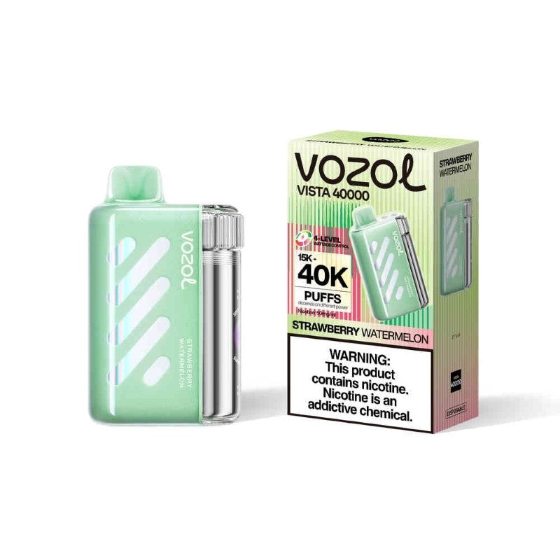 Kit jetable rechargeable VOZOL Vista 40000 Puffs 20ml (40K Puffs)