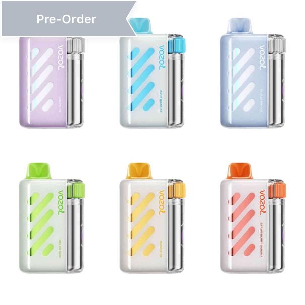 Kit jetable rechargeable VOZOL Vista 40000 Puffs 20ml (40K Puffs)