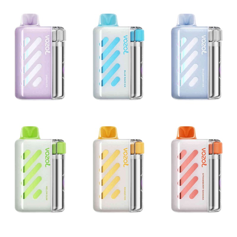 Kit jetable rechargeable VOZOL Vista 40000 Puffs 20ml (40K Puffs)