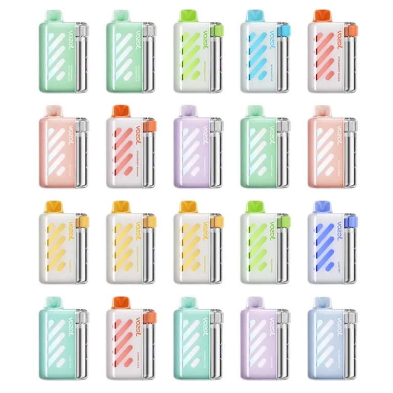 Kit jetable rechargeable VOZOL Vista 40000 Puffs 20ml (40K Puffs)