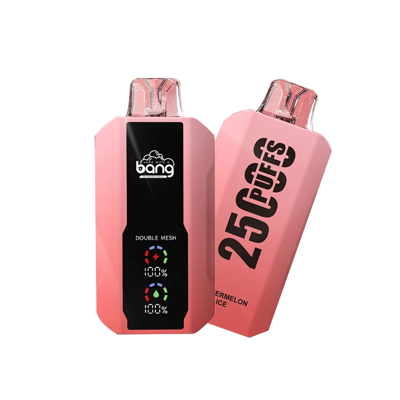 Kit jetable rechargeable Bang 25000 Puffs (affichage LED)