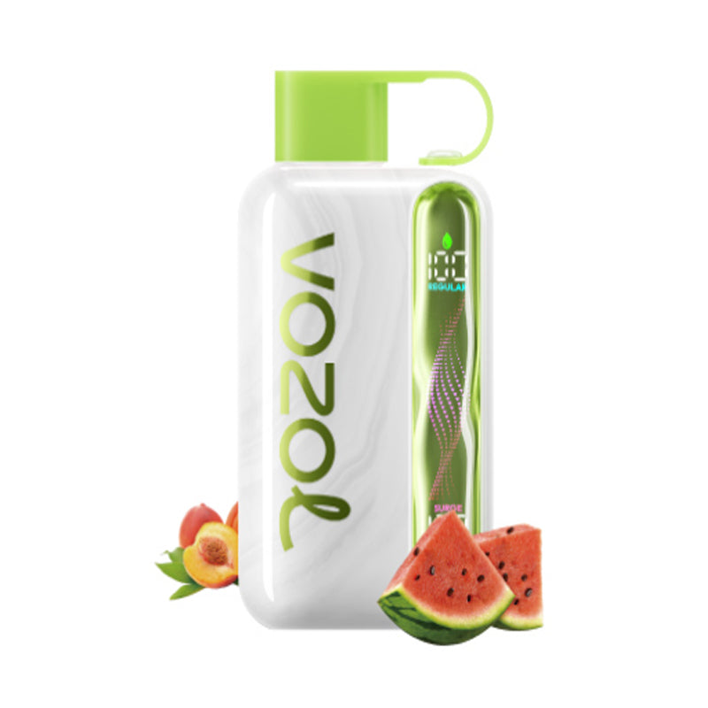 Kit jetable rechargeable Vozol Star 40000 Puffs 20ml (40K Puffs)