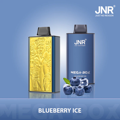 Kit jetable JNR Mega Box 25000 Puffs