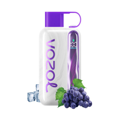 Kit jetable rechargeable Vozol Star 40000 Puffs 20ml (40K Puffs)