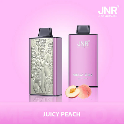Kit jetable JNR Mega Box 25000 Puffs