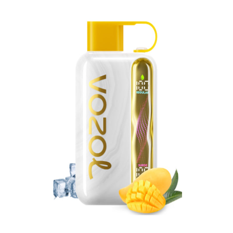 Kit jetable rechargeable Vozol Star 40000 Puffs 20ml (40K Puffs)