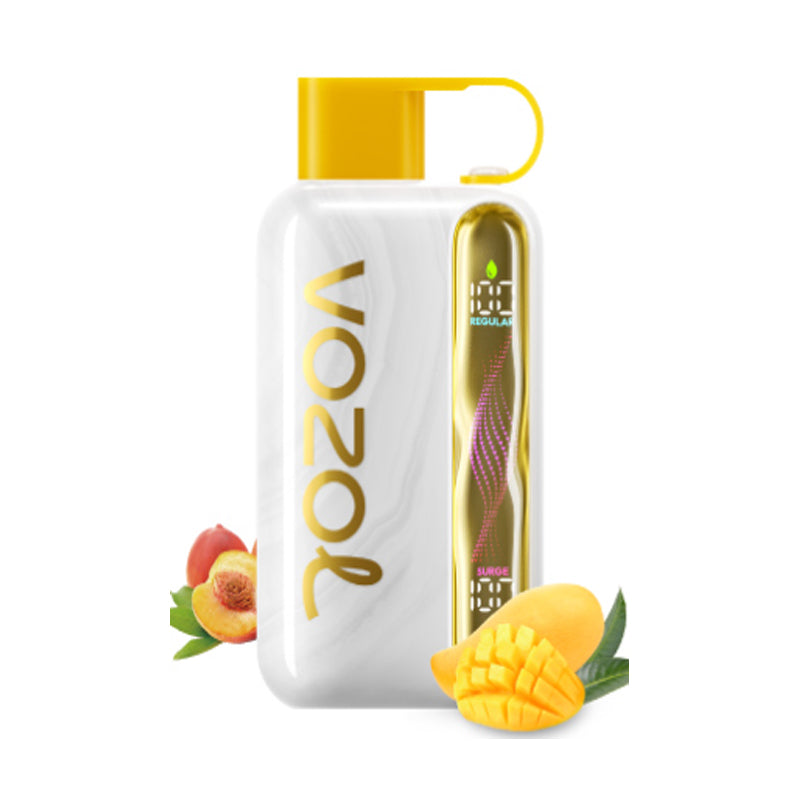 Kit jetable rechargeable Vozol Star 40000 Puffs 20ml (40K Puffs)