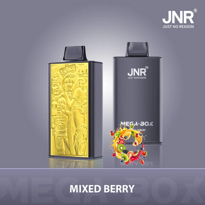 Kit jetable JNR Mega Box 25000 Puffs