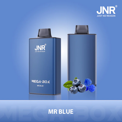 Kit jetable JNR Mega Box 25000 Puffs