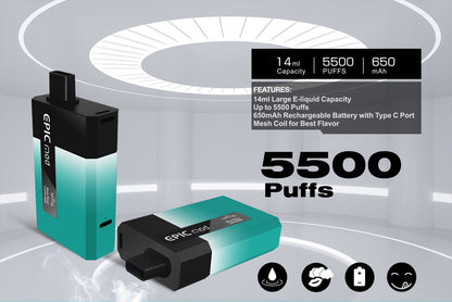[Clearance sale]  NEITH EPICMOD 5500 PUFF Cigarette électronique jetable kit rechargeable 650mAh 14ml (0mg)