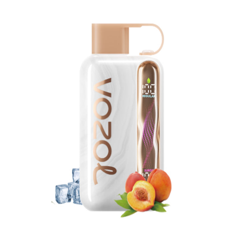 Kit jetable rechargeable Vozol Star 40000 Puffs 20ml (40K Puffs)