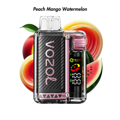 Vozol Vista 20000 Puffs Vape jetable rechargeable