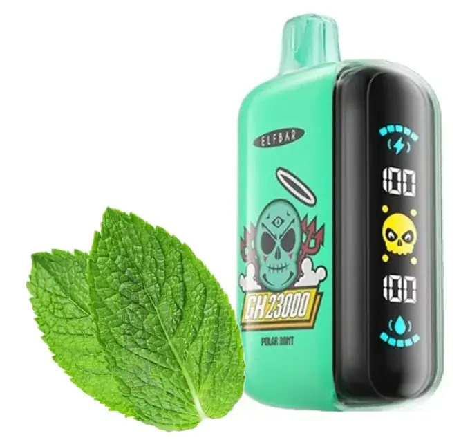 Kit jetable rechargeable Elf Bar GH23000 (23K Puffs)
