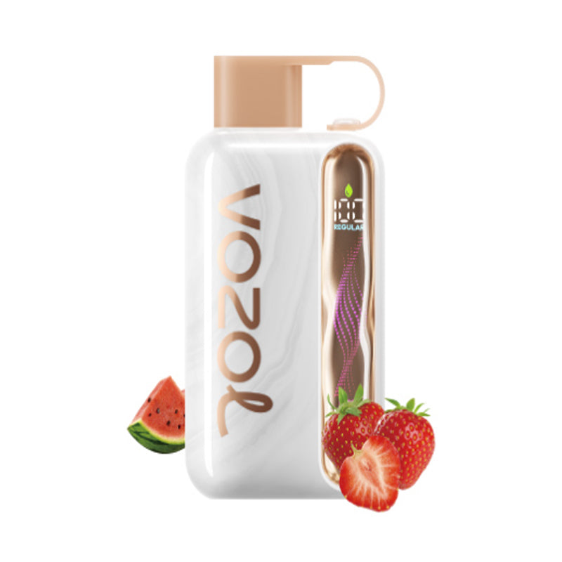 Kit jetable rechargeable Vozol Star 40000 Puffs 20ml (40K Puffs)