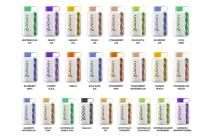 Kit jetable rechargeable Vozol Star 40000 Puffs 20ml (40K Puffs)
