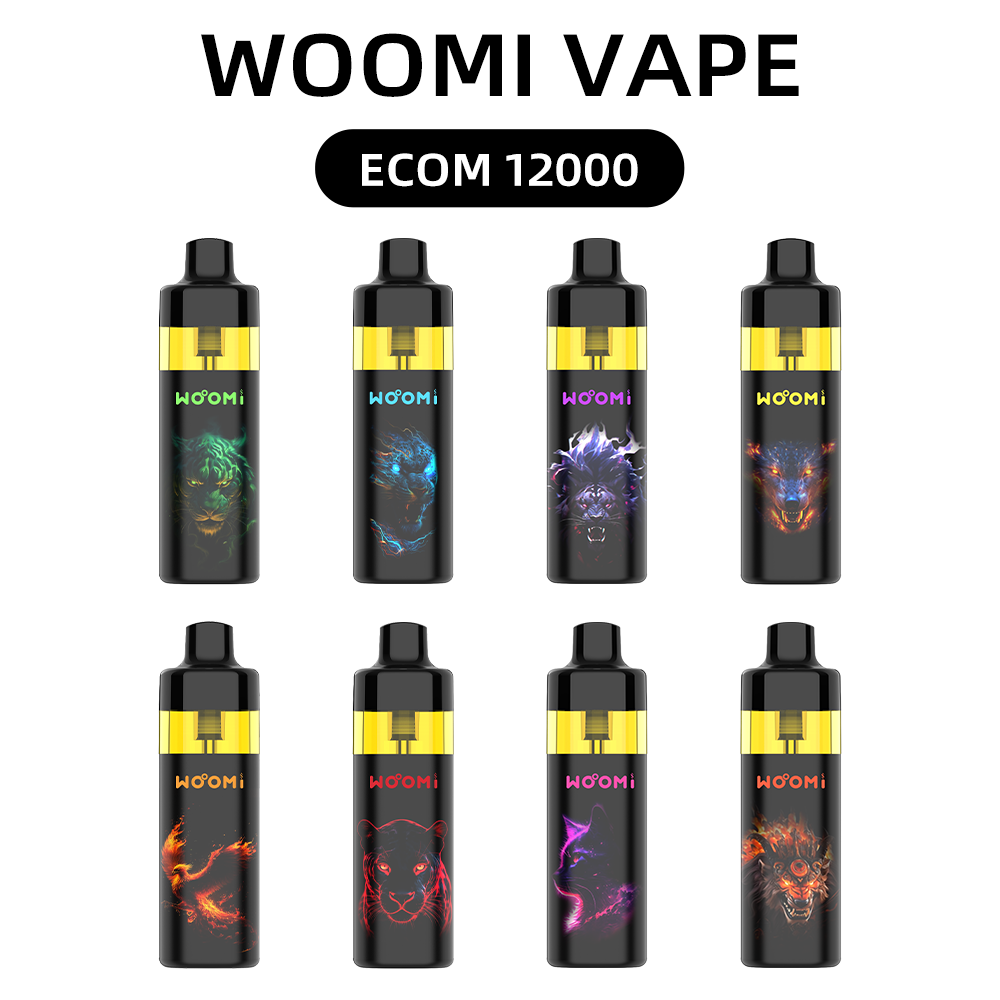 Kit Pod Refillable Woomi ECOM 12000 10 pièces/paquet