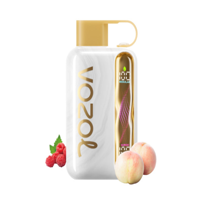 Kit jetable rechargeable Vozol Star 40000 Puffs 20ml (40K Puffs)